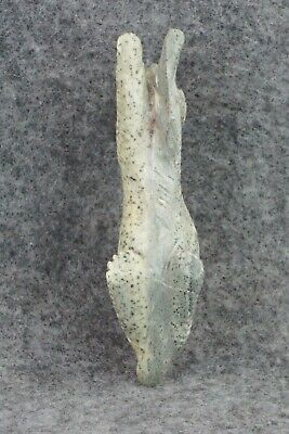 Bobcat Zuni Fetish Carving - Wilfred Cheama
