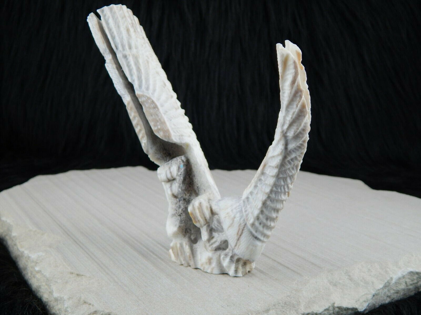 Eagle Zuni Fetish Carving - Jerrold Lahaleon - High Lonesome Trading