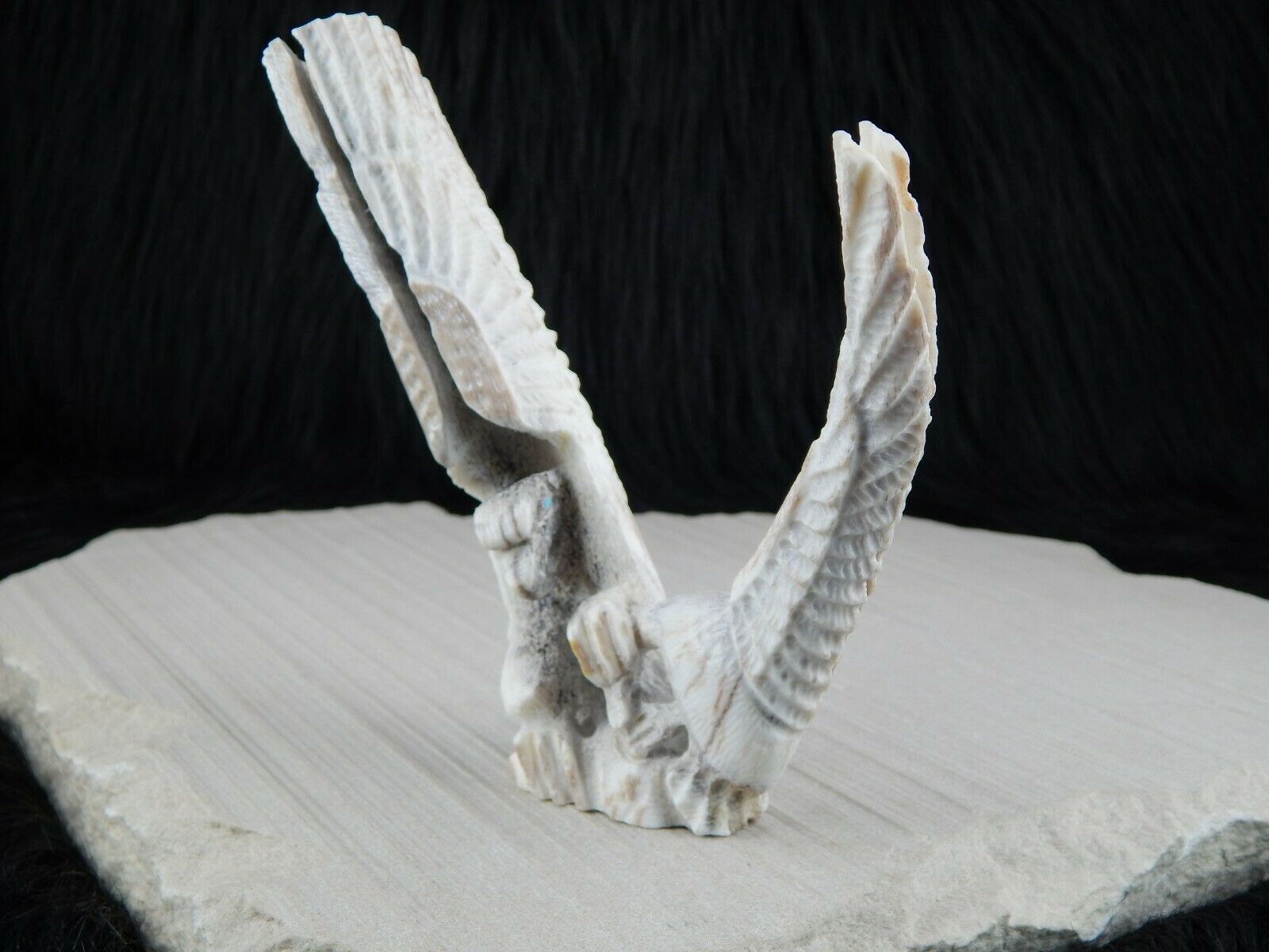 Eagle Zuni Fetish Carving - Jerrold Lahaleon - High Lonesome Trading