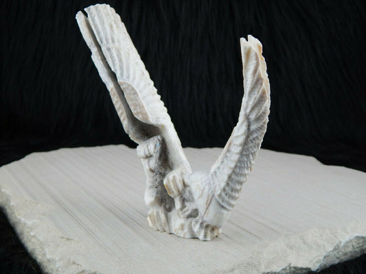 Eagle Zuni Fetish Carving - Jerrold Lahaleon - High Lonesome Trading