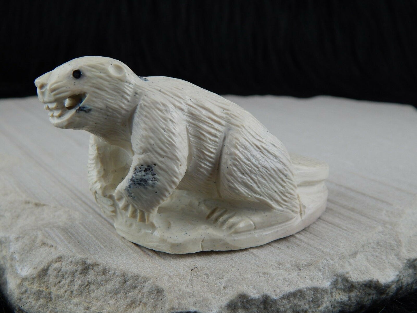 Beaver Zuni Fetish Carving- Derrick Kaamasee - High Lonesome Trading