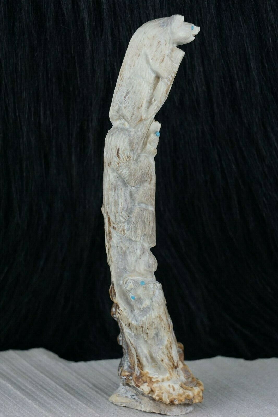Bear Zuni Fetish Carving - Derrick Kaamasee - High Lonesome Trading