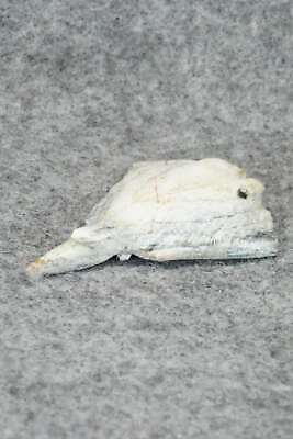 Stingray Zuni Fetish Carving - Derrick Kaamasee