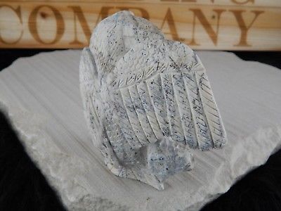 Eagle Zuni Fetish Carving - Evan Cachini - High Lonesome Trading