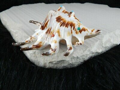 Sea Shell Zuni Fetish - Eric Lonjose - Zuni Sea Shell Carving - Native American - High Lonesome Trading
