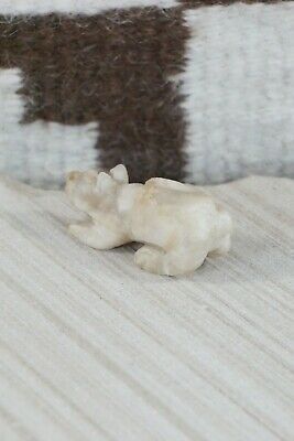 Mountain Lion Zuni Fetish Carving - Wilfred Cheama