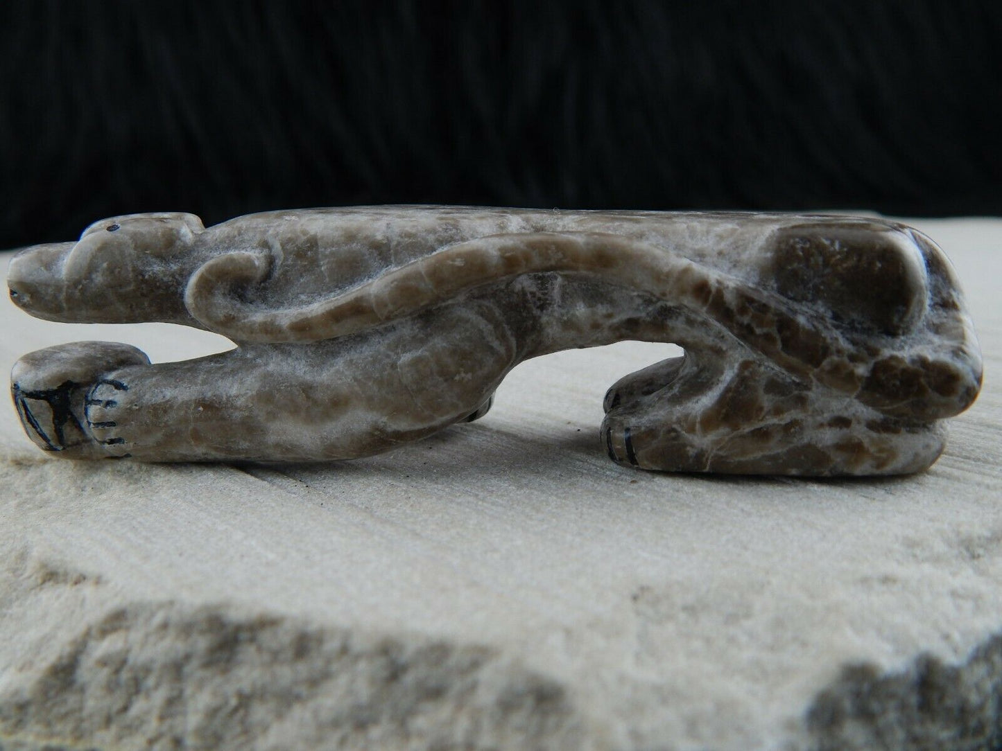 Mountain Lion Zuni Fetish Carving - Rickson Kallestewa - High Lonesome Trading