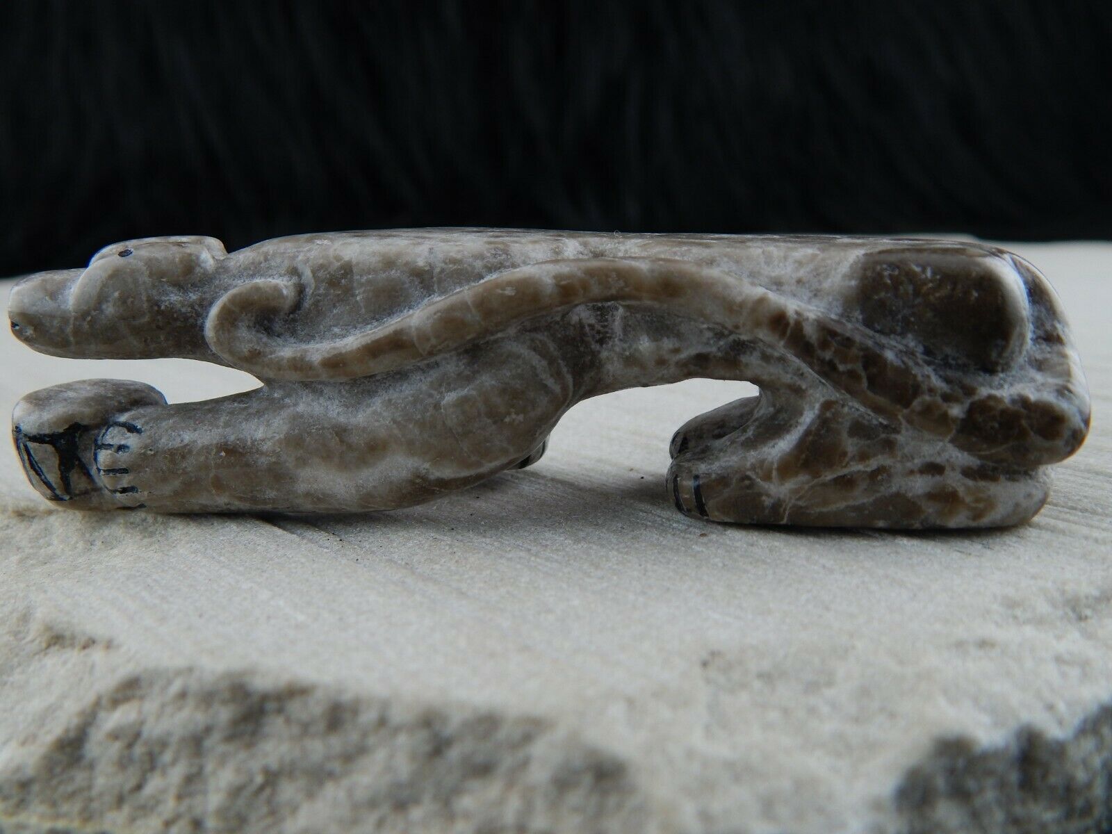 Mountain Lion Zuni Fetish Carving - Rickson Kallestewa - High Lonesome Trading