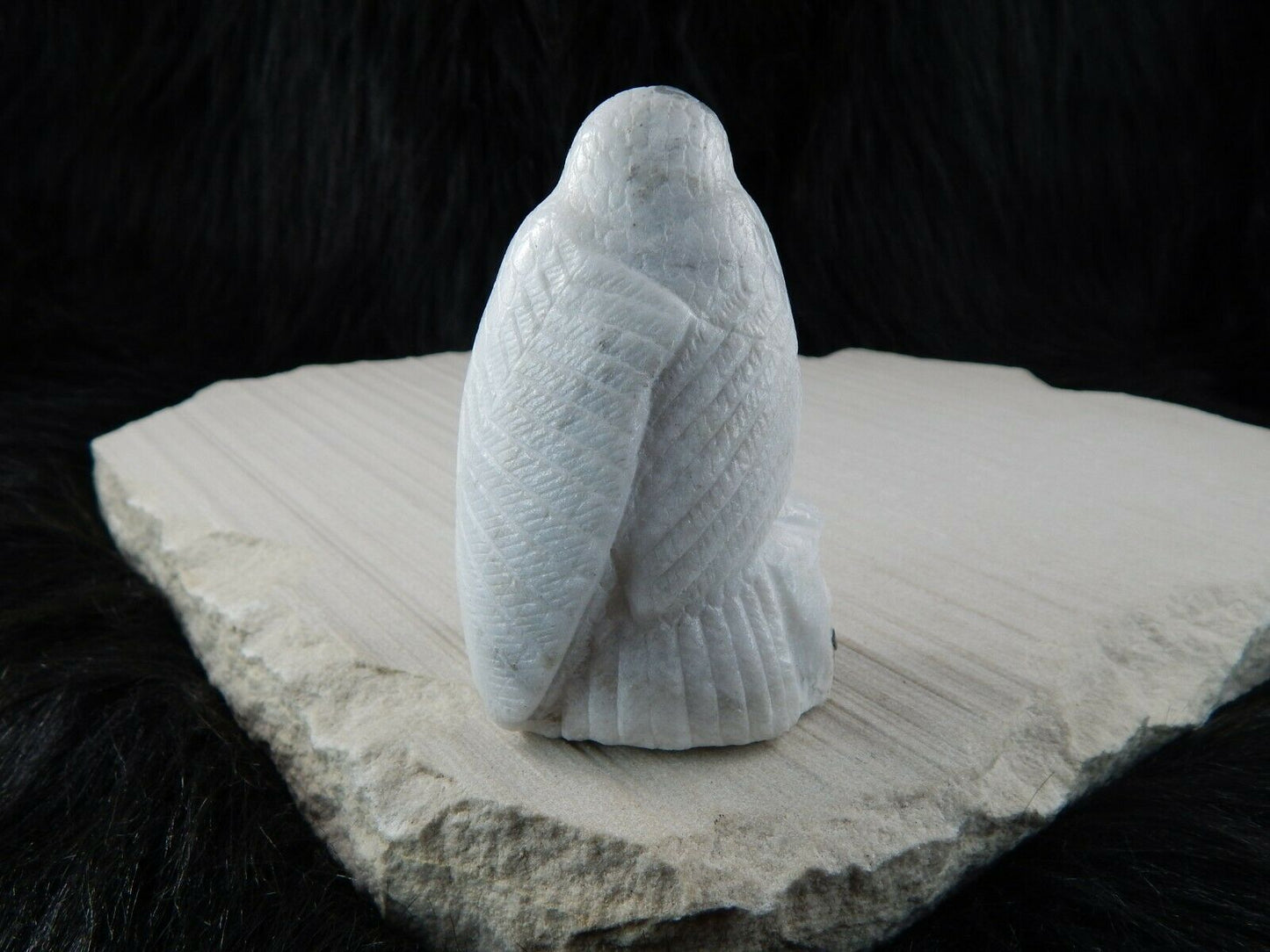 Owl Zuni Fetish Carving - Derrick Kaamasee - High Lonesome Trading