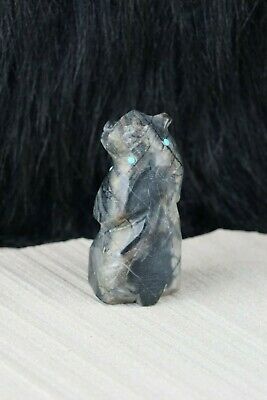 Bear Zuni Fetish Carving - Danette Laate - High Lonesome Trading