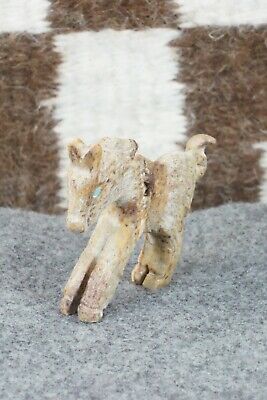 Horse Zuni Fetish Carving - Tony Mackel