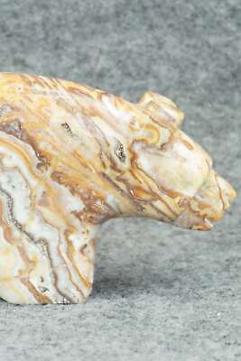 Bear Zuni Fetish Carving - Reynold Lunasee