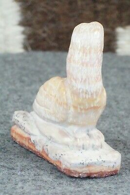 Parrot Zuni Fetish Carving - Vance Cachini
