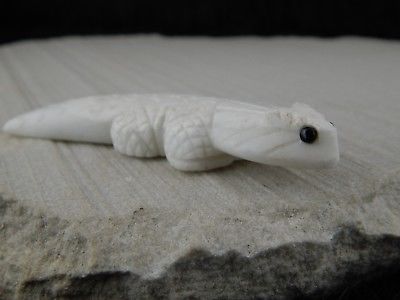 Lizard Zuni Fetish Carving - Lee Bedonie - High Lonesome Trading
