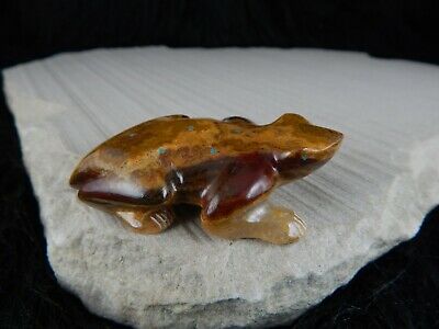 Frog Zuni Fetish Carving - Nelson Yatsattie - High Lonesome Trading