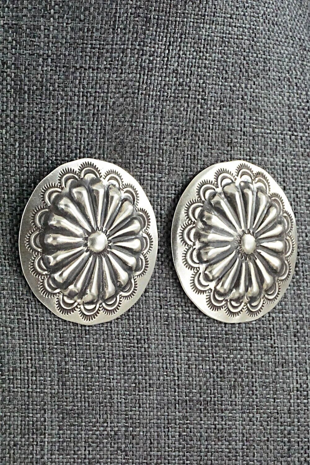 Sterling Silver Earrings - Arlene Soce
