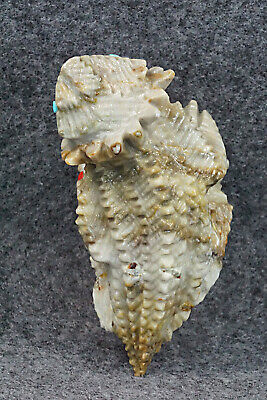 Horned Toad Zuni Fetish Carving - Ben Kamaasee