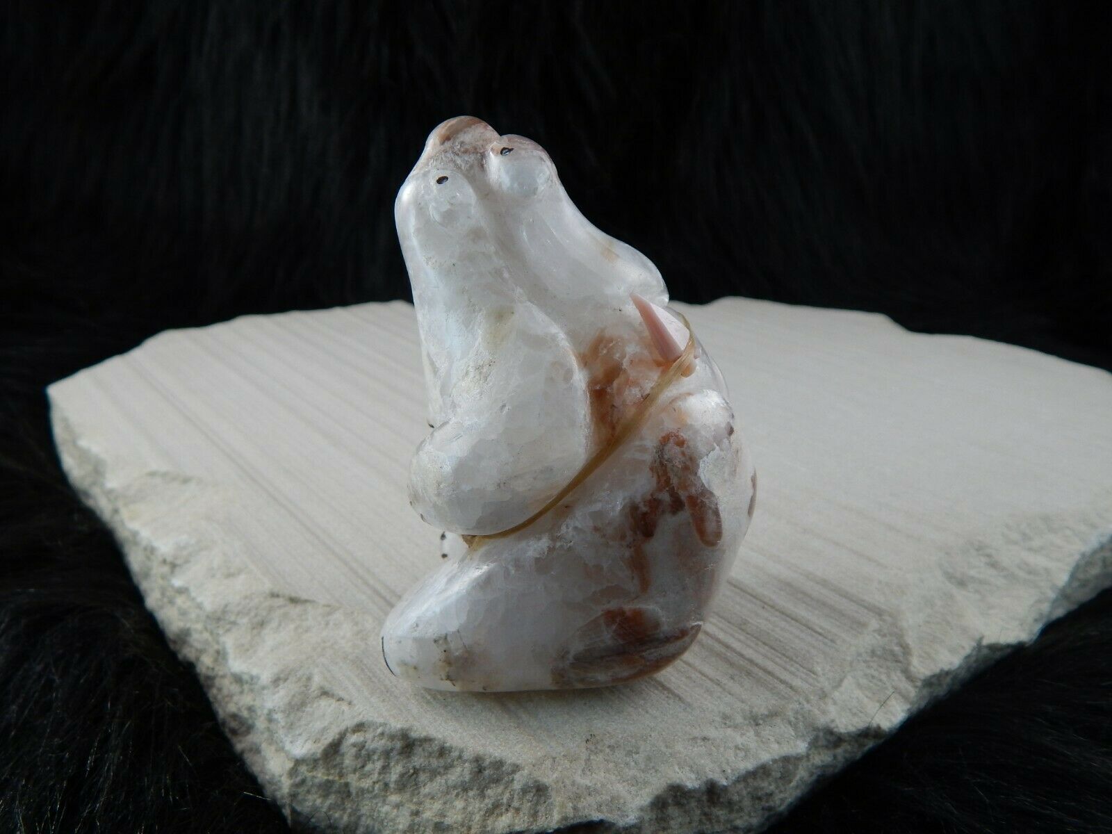 Bear Zuni Fetish Carving - Kallestewa - High Lonesome Trading