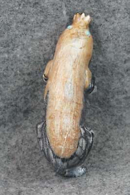 Mole Zuni Fetish Carving - Derrick Kaamasee