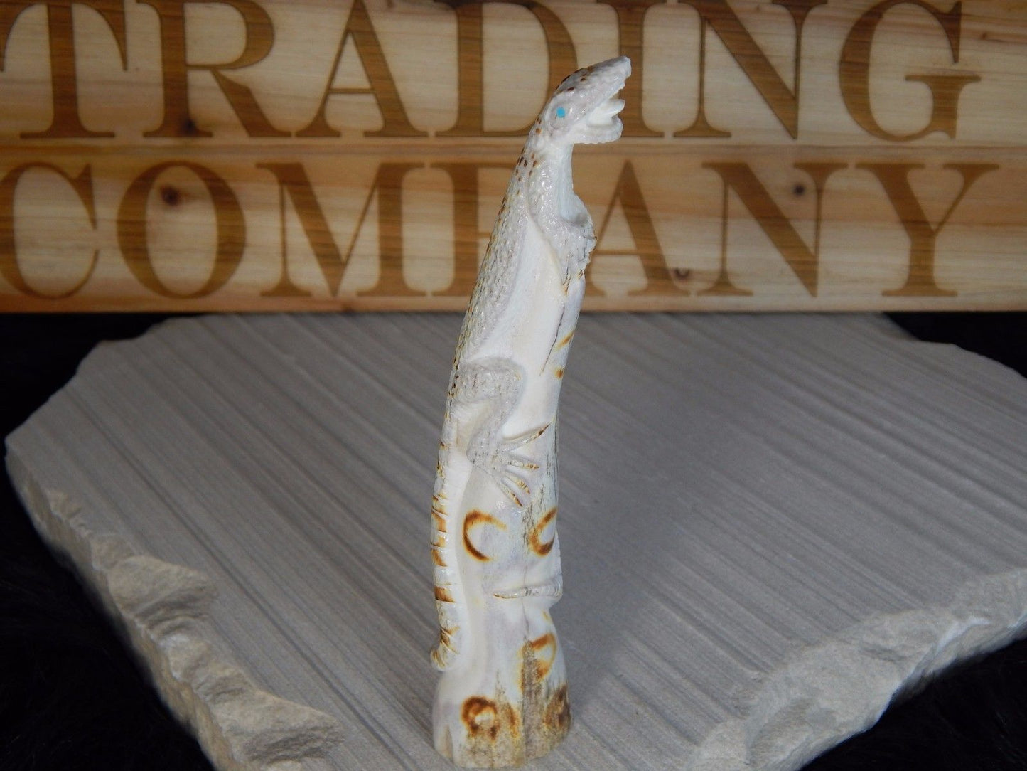 Lizard Zuni Fetish Carving - Maxx Laate - High Lonesome Trading