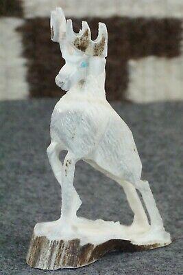 Deer Zuni Fetish Carving - Jerrold Lahaleon - High Lonesome Trading