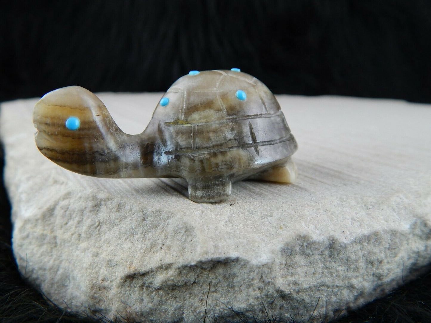 Turtle Zuni Fetish Carving - Ronnie Lunasee - High Lonesome Trading