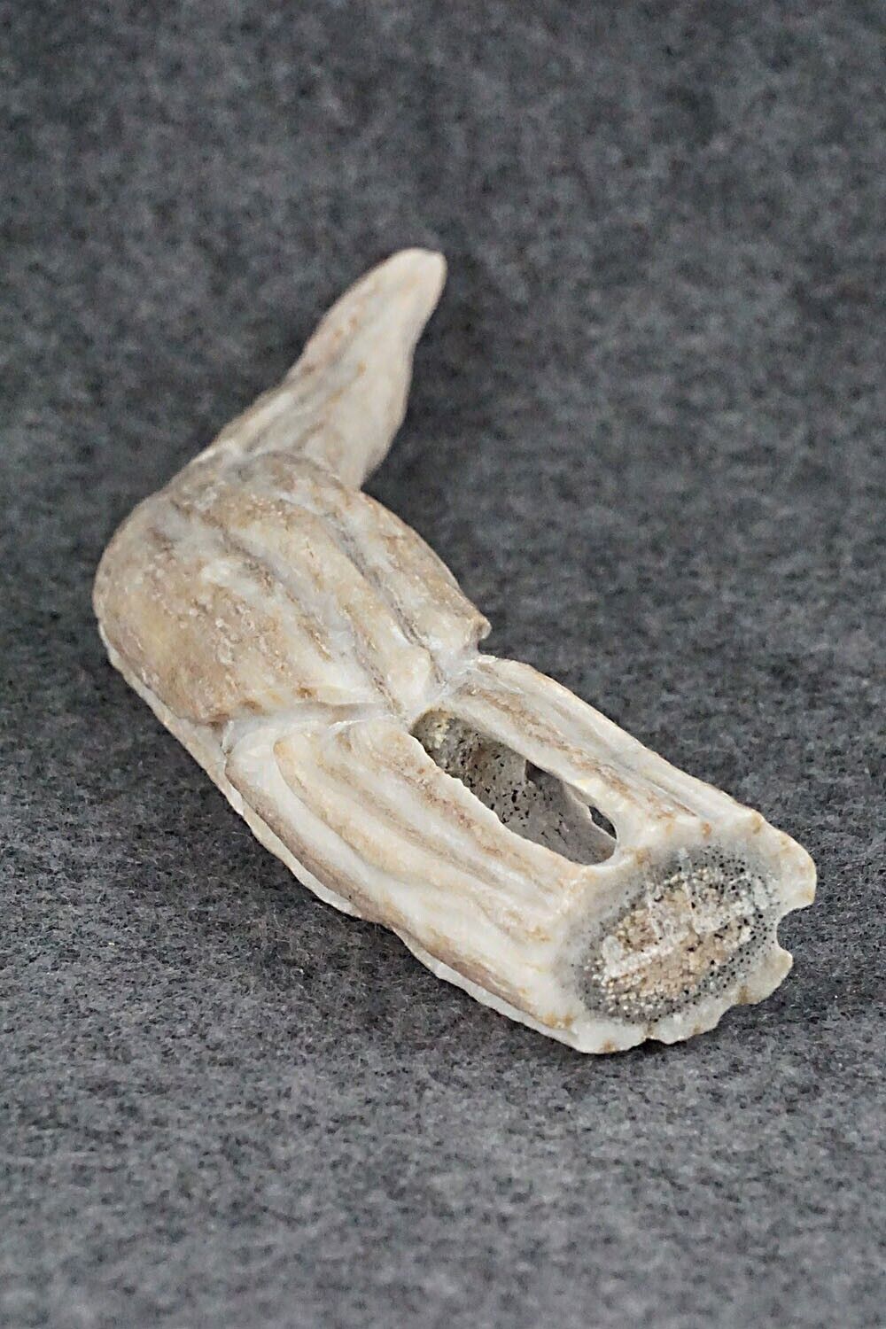 Corn Maided Zuni Fetish Carving - Jerrold Lahaleon