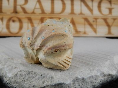 Frog Zuni Fetish Carving - Native American - High Lonesome Trading