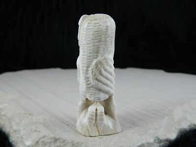 Owl Zuni Fetish Carving - Garrick Weeka - High Lonesome Trading