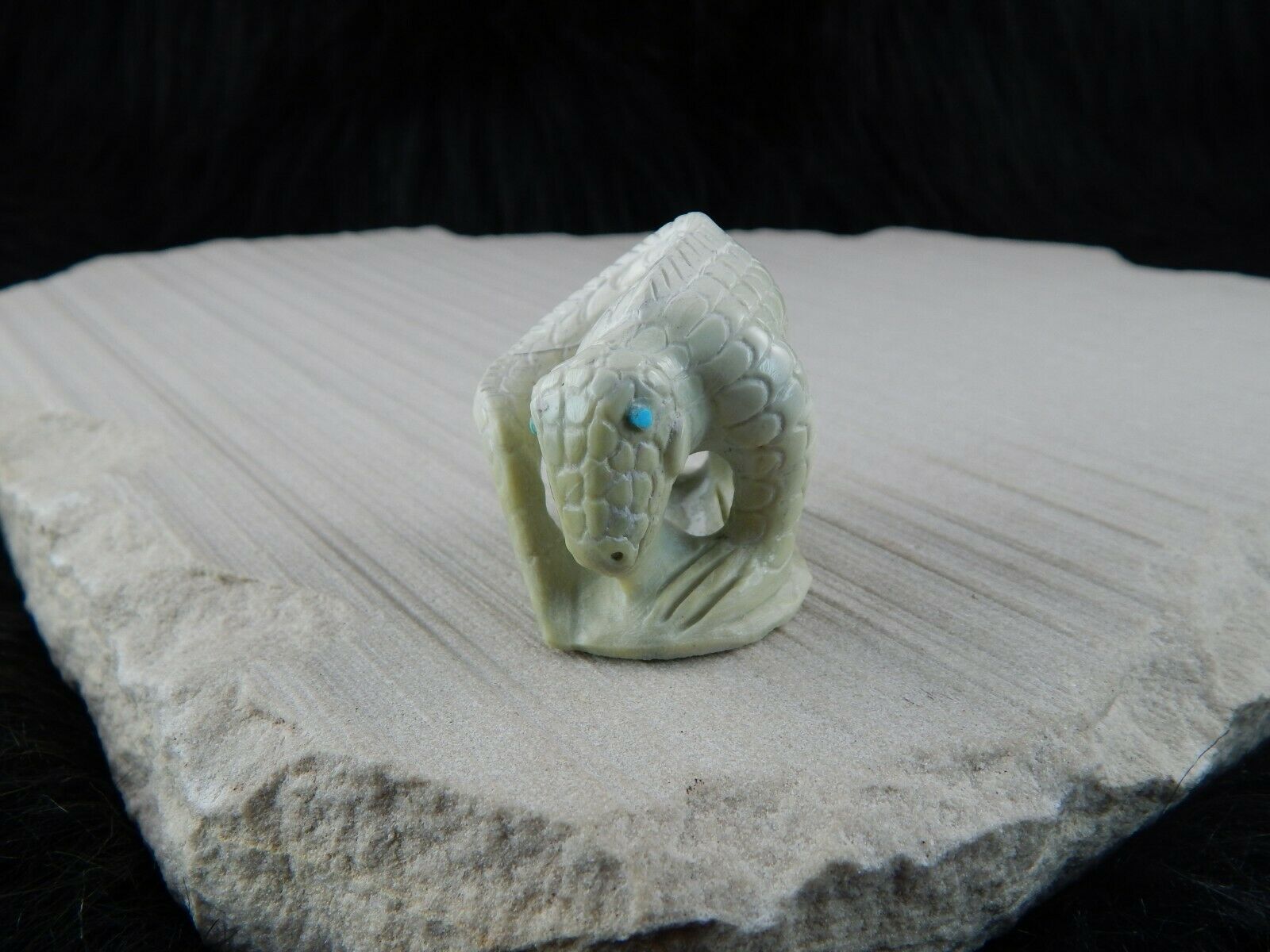 Lizard Zuni Fetish Carving - Carlton Kaamasee - High Lonesome Trading