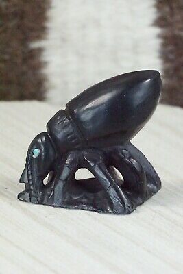 Beetle Zuni Fetish Carving - Derrick Kaamasee