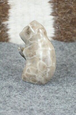 Bear Zuni Fetish Carving - Daphne Quam