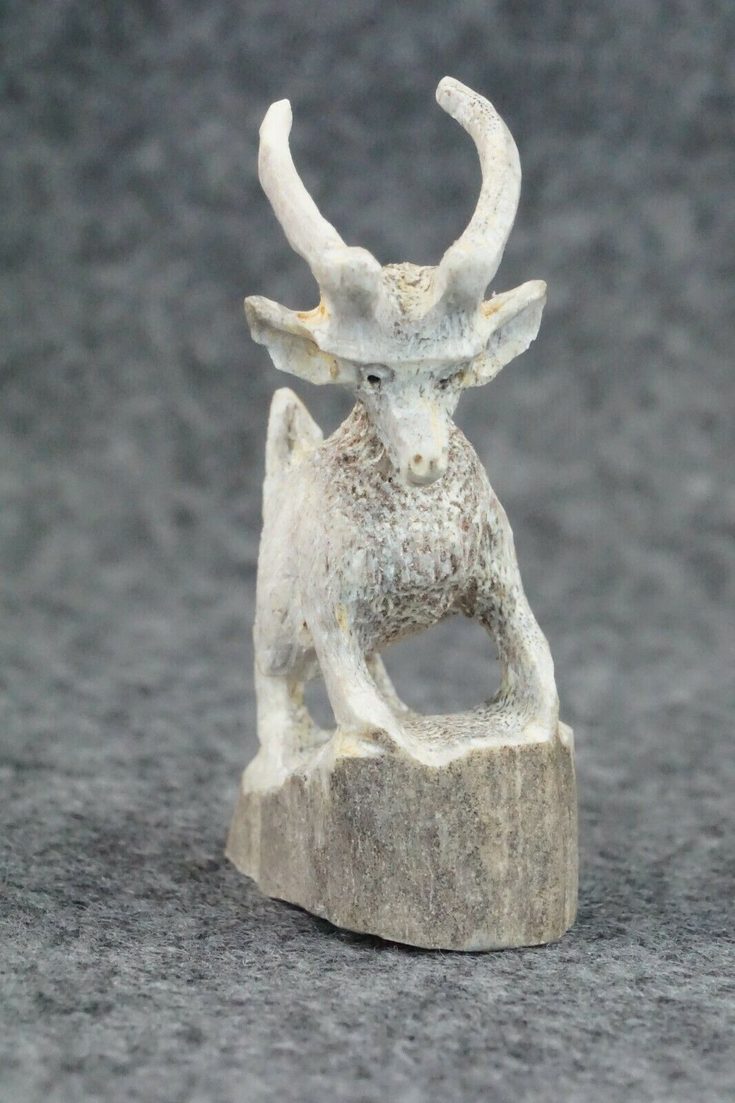 Antelope Zuni Fetish Carving - Lewis Malie Jr.