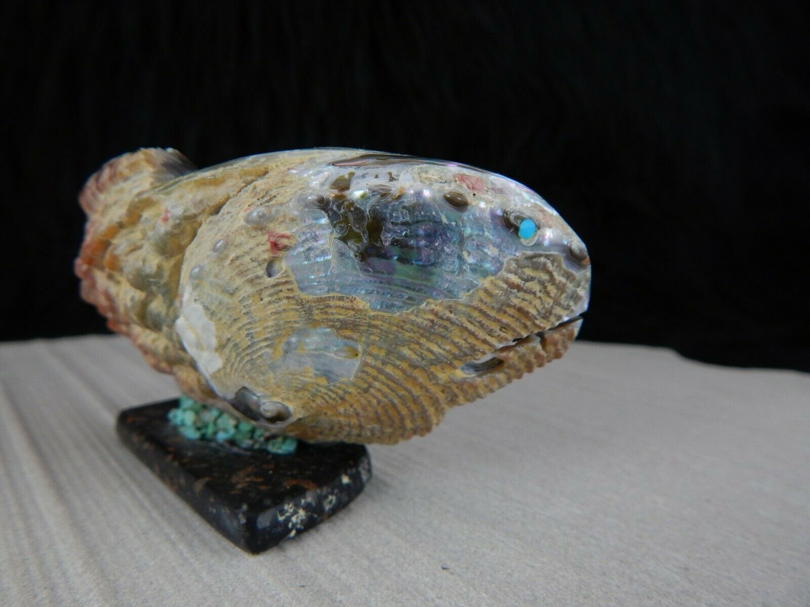 Fish Zuni Fetish Carving - Bernard Laiwakete - High Lonesome Trading