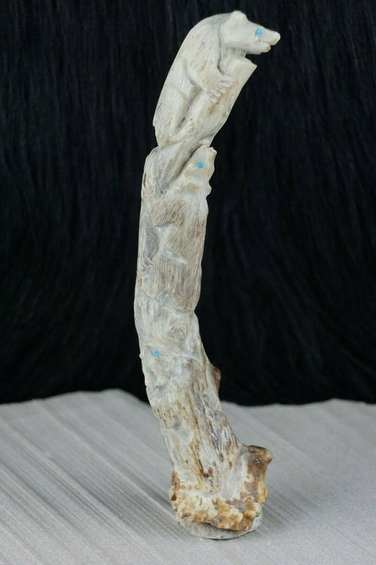 Bear Zuni Fetish Carving - Derrick Kaamasee - High Lonesome Trading