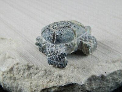 Turtle Zuni Fetish Carving - Jon Quam - High Lonesome Trading