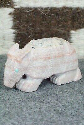 Armadillo Zuni Fetish Carving - Derrick Kaamasee - High Lonesome Trading