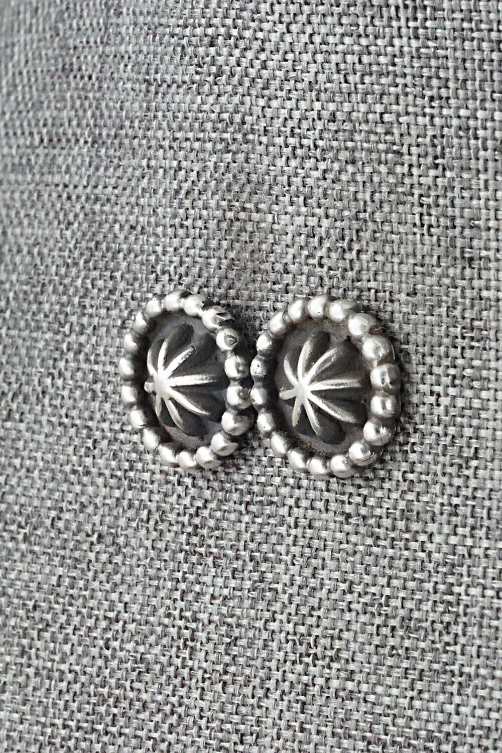 Sterling Silver Earrings - Etta Larry