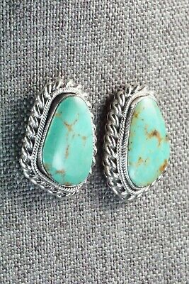 Turquoise and Sterling Silver Earrings - Sharon McCarthy