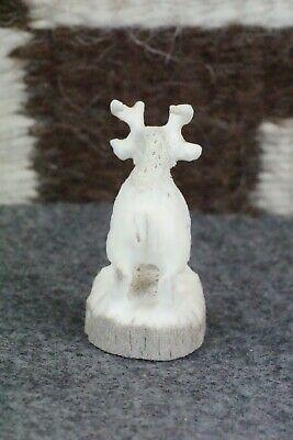 Deer Zuni Fetish Carving - Lewis Malie Jr. - High Lonesome Trading