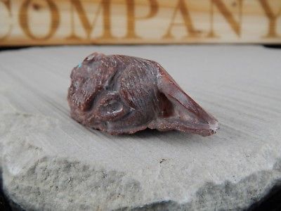 Badger Zuni Fetish Carving - Evan Cachini - High Lonesome Trading
