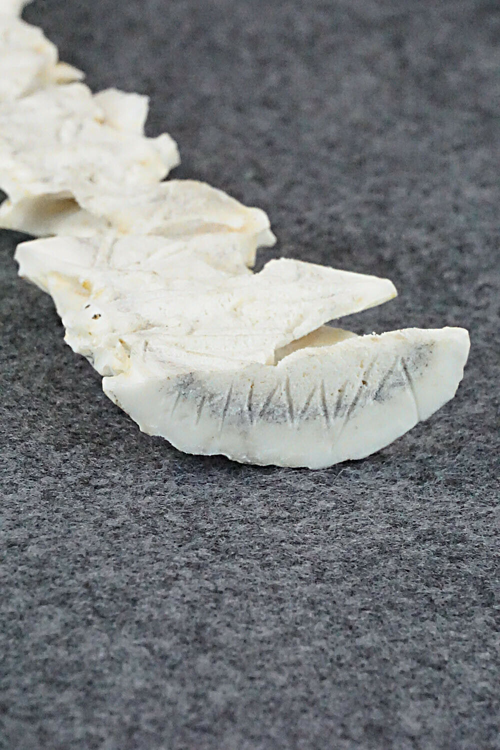 Bat Zuni Fetish Carving - Lewis Malie Jr.