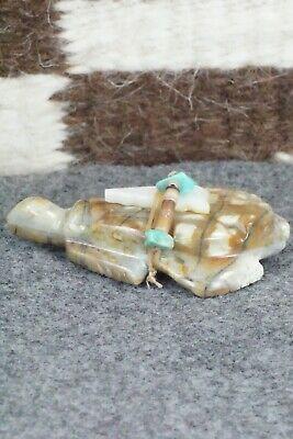 Turtle Zuni Fetish Carving - Daisy Natewa - High Lonesome Trading