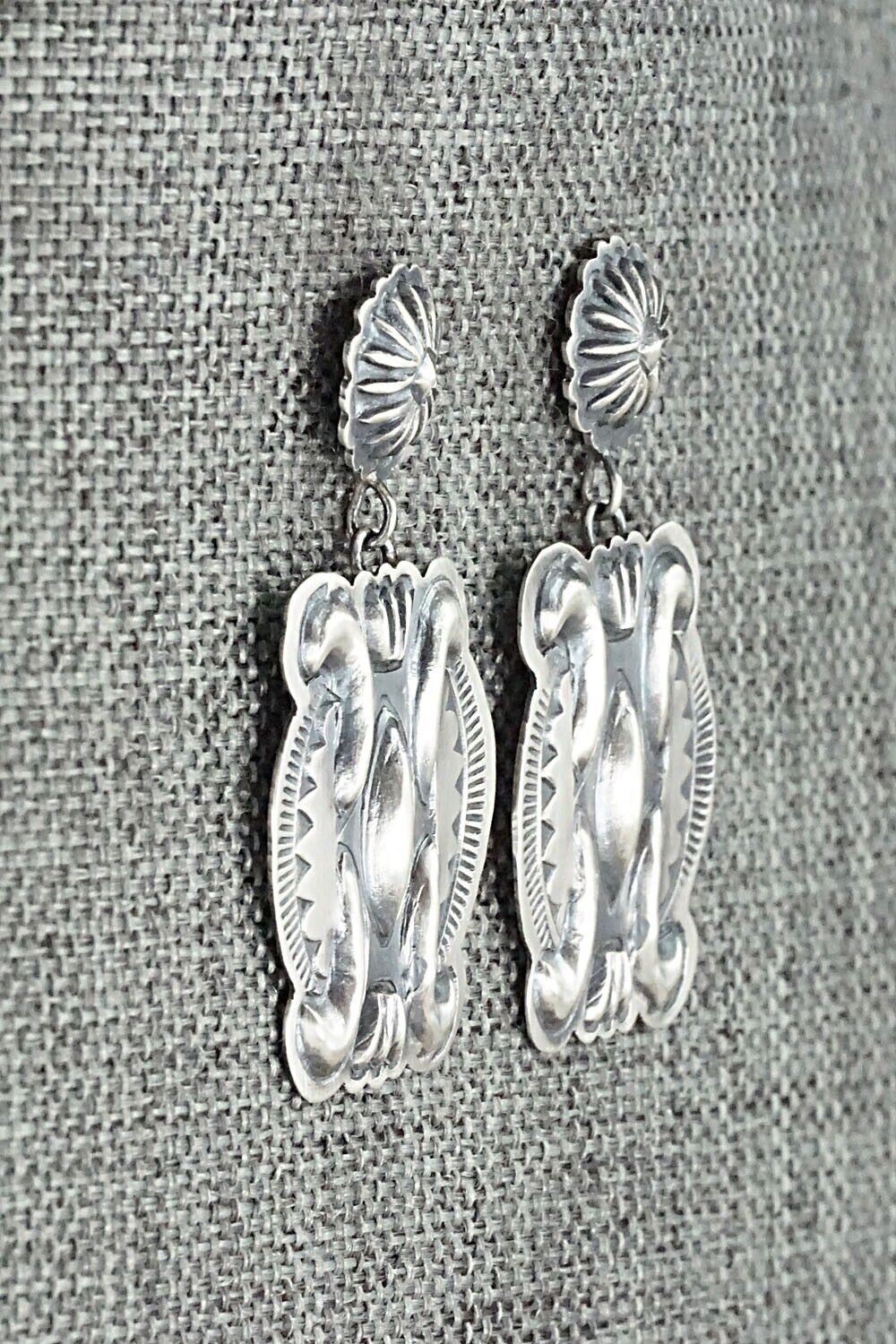 Sterling Silver Earrings - Terry Charlie