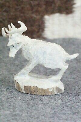 Deer Zuni Fetish Carving - Lewis Malie Jr. - High Lonesome Trading