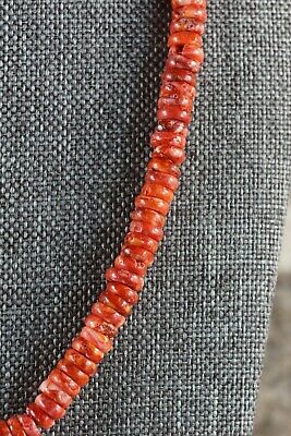 Spiny Oyster Necklace - Native American