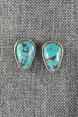 Turquoise & Sterling Silver Necklace and Earrings - Bobby Platero